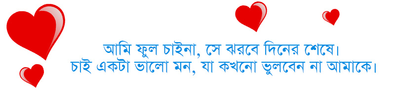 800px x 200px - Bangla love sms quotes | bangla valobashar sms 2020 |